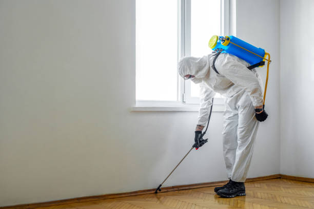 Best Pest Control for Hotels  in USA